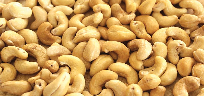Processed cashew nut export to Japan to hit new high