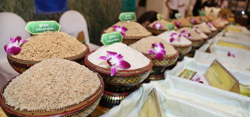 Battambang may list pineapple, paddy as collective brands