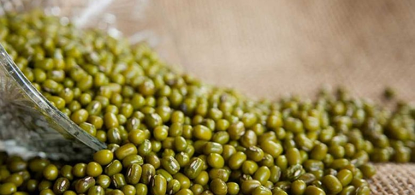 Soybean, mung bean exports double on-year