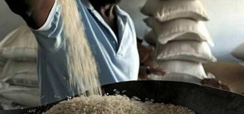 Cambodia may invest in Cuban rice production