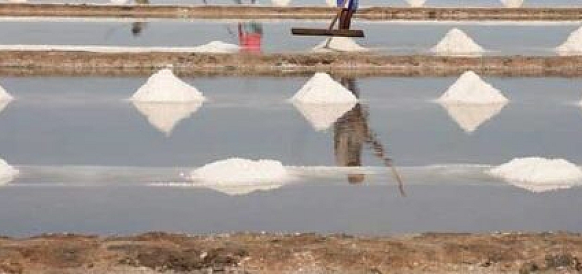 GI Kampot-Kep salt prepared for exports by end of year: insiders
