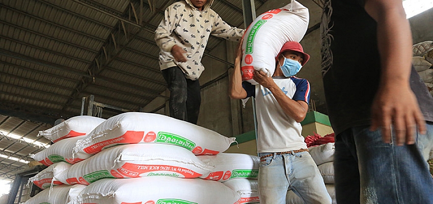 Cambodia’s rice export bags 278M in eight months