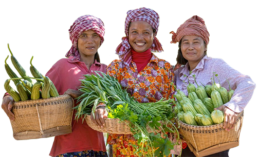 អាជីវកម្មថ្មី