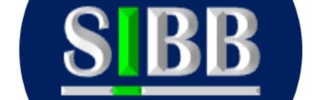 នាយកគ្រប់គ្រង Sustainable Innovative Business Builder