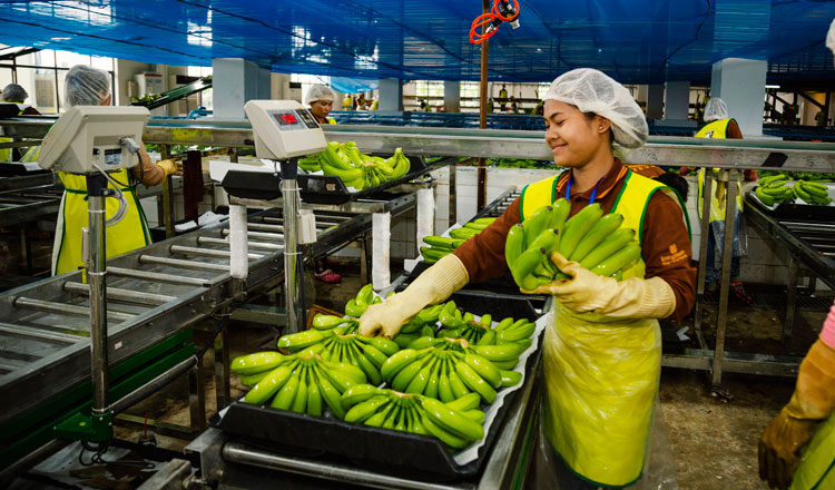 Cambodia’s agricultural exports up nearly 64 pct last year to almost $5 billion