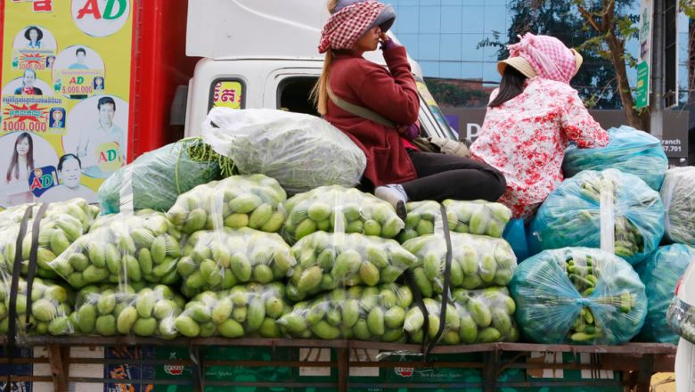 Mango exports surge 146% to 265K tonnes in 2021