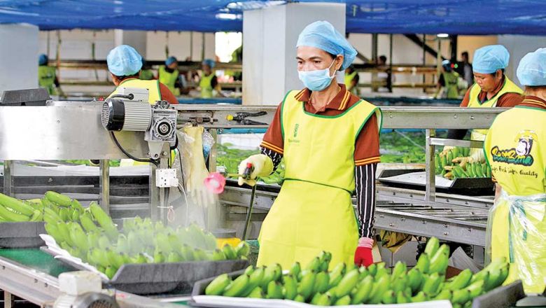 Agri exports rise 11% in Q1