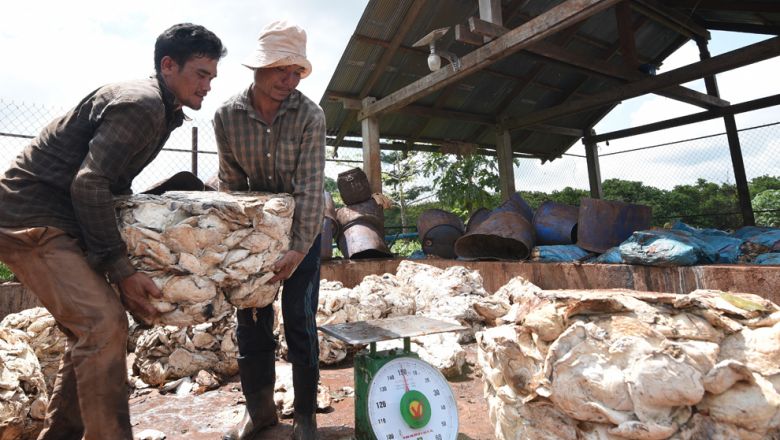 Rubber-based exports bounce up 16.5% to $150M in Jan-Apr