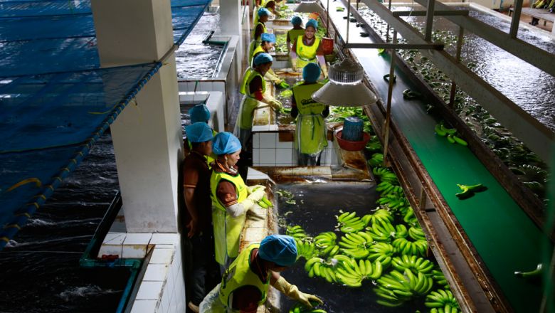 Agri, fishery sectors urged to apply for e-permits via NSW