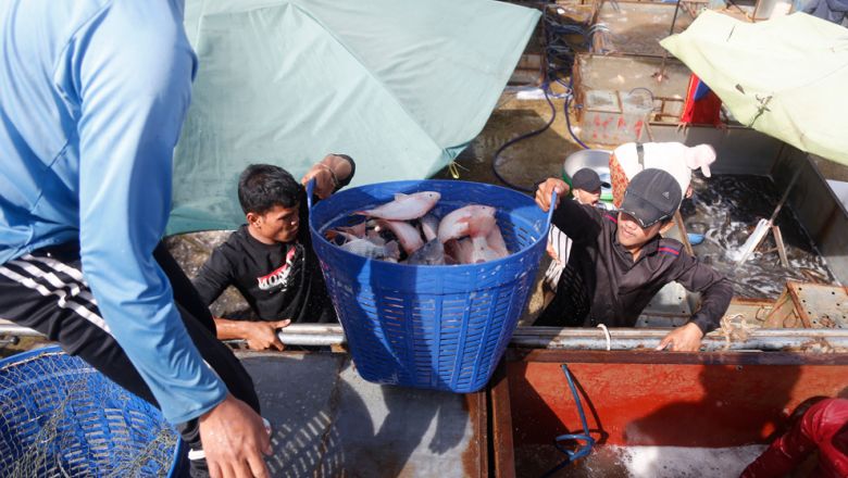 Jan-May fisheries exports reach nearly $39M