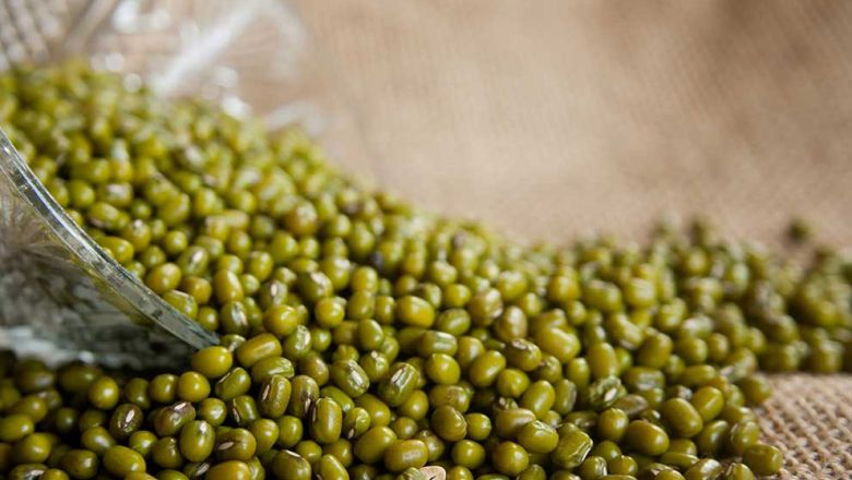 Soybean, mung bean exports double on-year