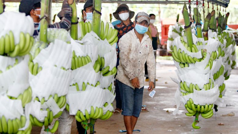 Agri exports to China hit 2.4M tonnes worth $1.9B in last 42 months