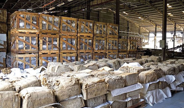 Cambodia earns over $544 million from exports of rubber, rice in first 8 months