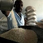 Cambodia may invest in Cuban rice production
