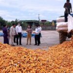 Cambodian agri exports rise 7.8% to 8.6M tonnes