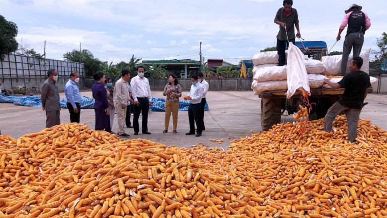 Cambodian agri exports rise 7.8% to 8.6M tonnes