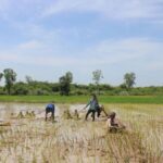 Economists urge incentives for agri-investment