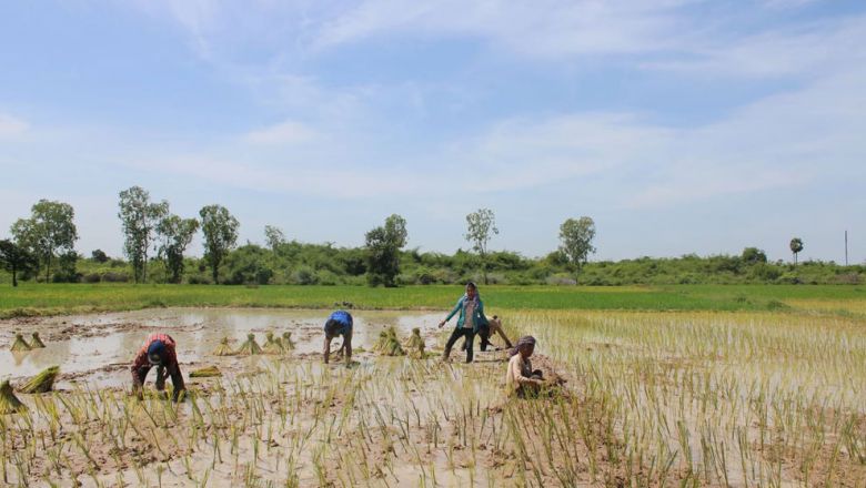 Economists urge incentives for agri-investment