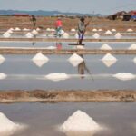 GI Kampot-Kep salt prepared for exports by end of year: insiders