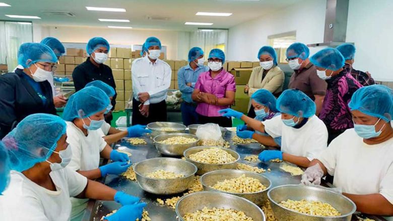 Vietnam processors of cashew urged to broker direct deals