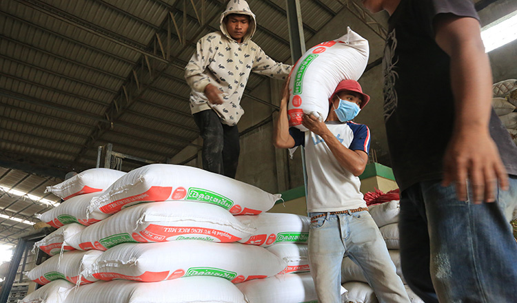 Cambodia’s rice export bags 278M in eight months
