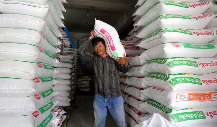 Cambodia gets $1.35B from rice exports in 11 months