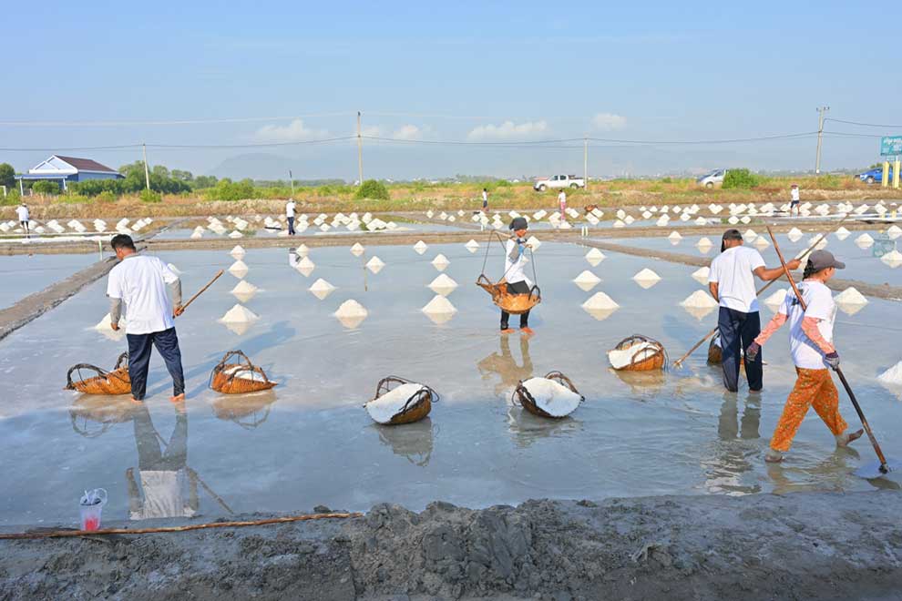 Weather conditions drive surge in salt yields, decrease imports