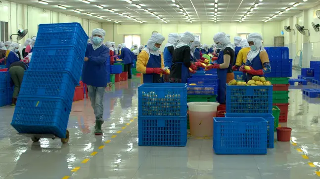 SME in Agriculture