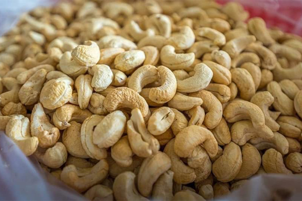 Kampong Thom driving cashew production with around 30% of national output